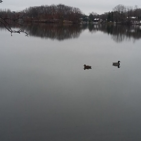 Meet your Posher, Tegan - Picture 1 of 1